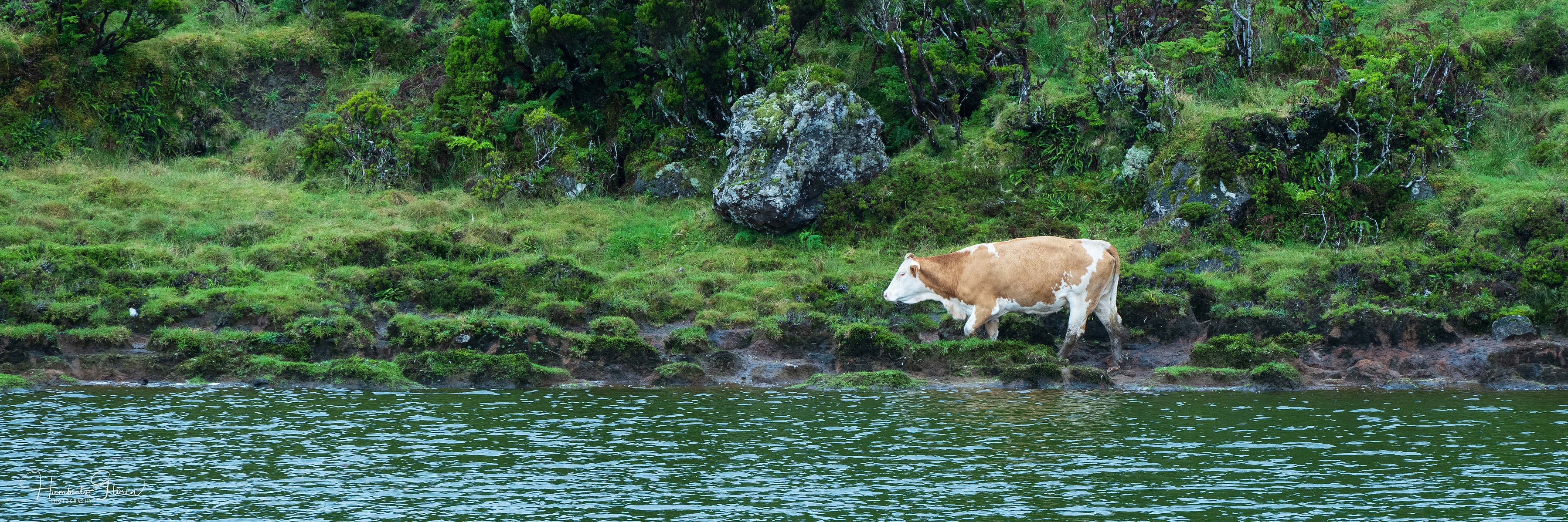 azores photograph 15