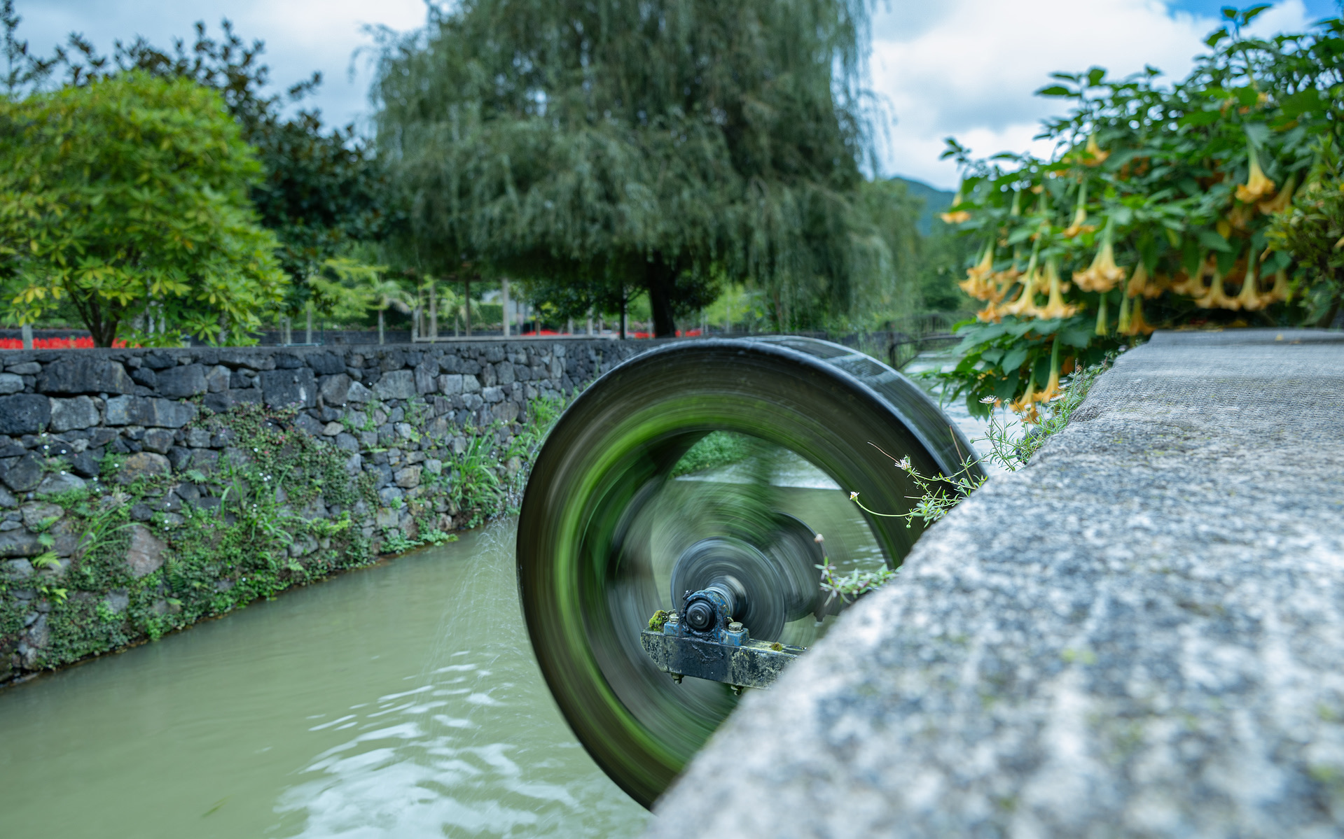 azores photograph 16