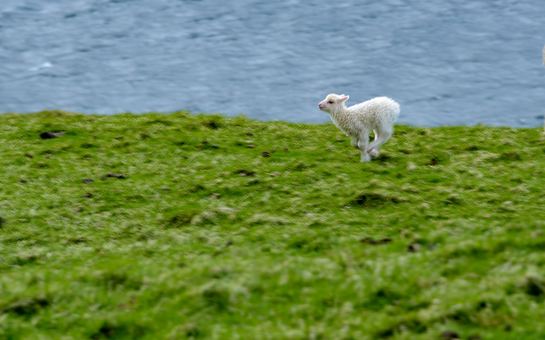 faroe islands photograph 6