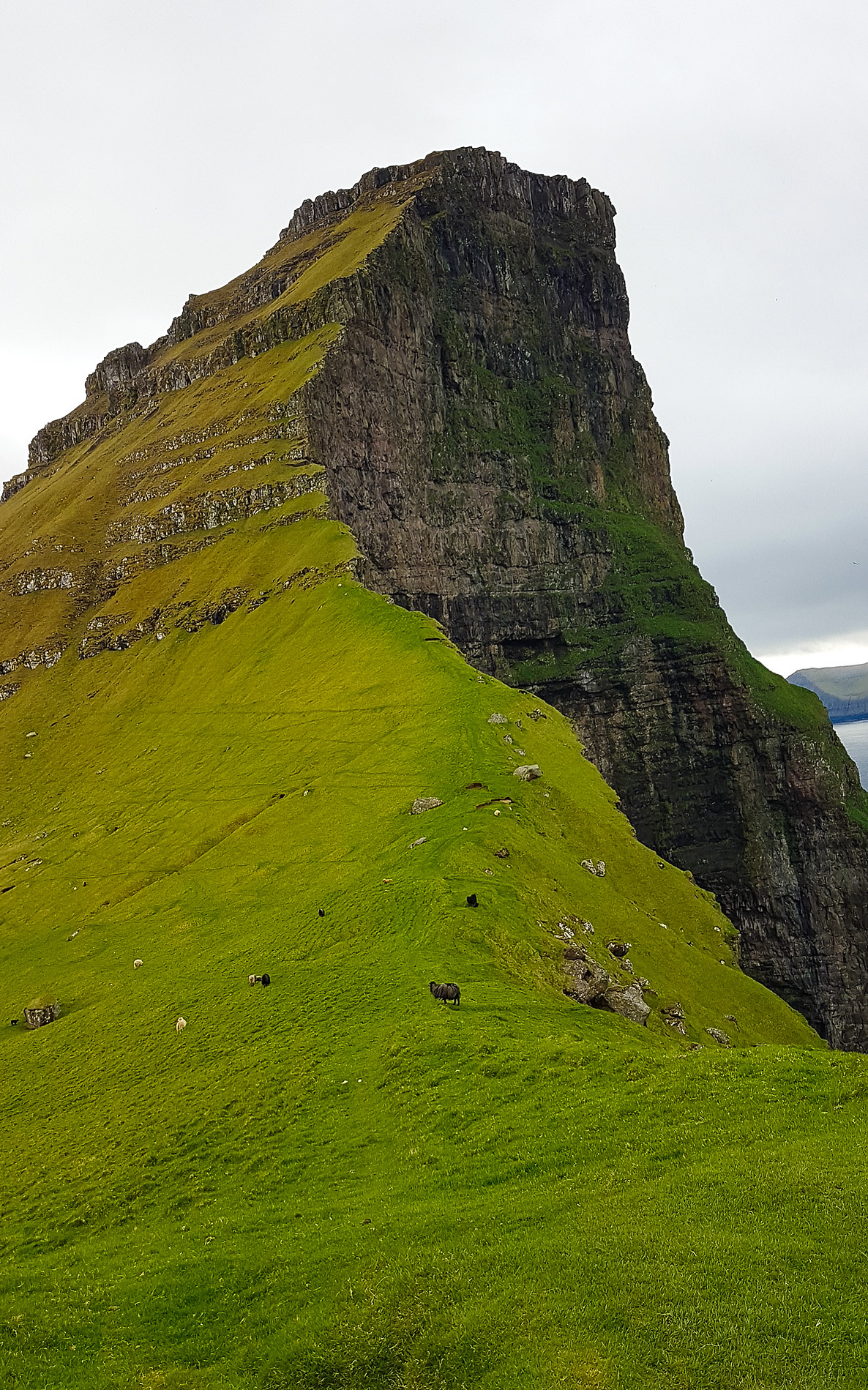 faroe islands photograph 28