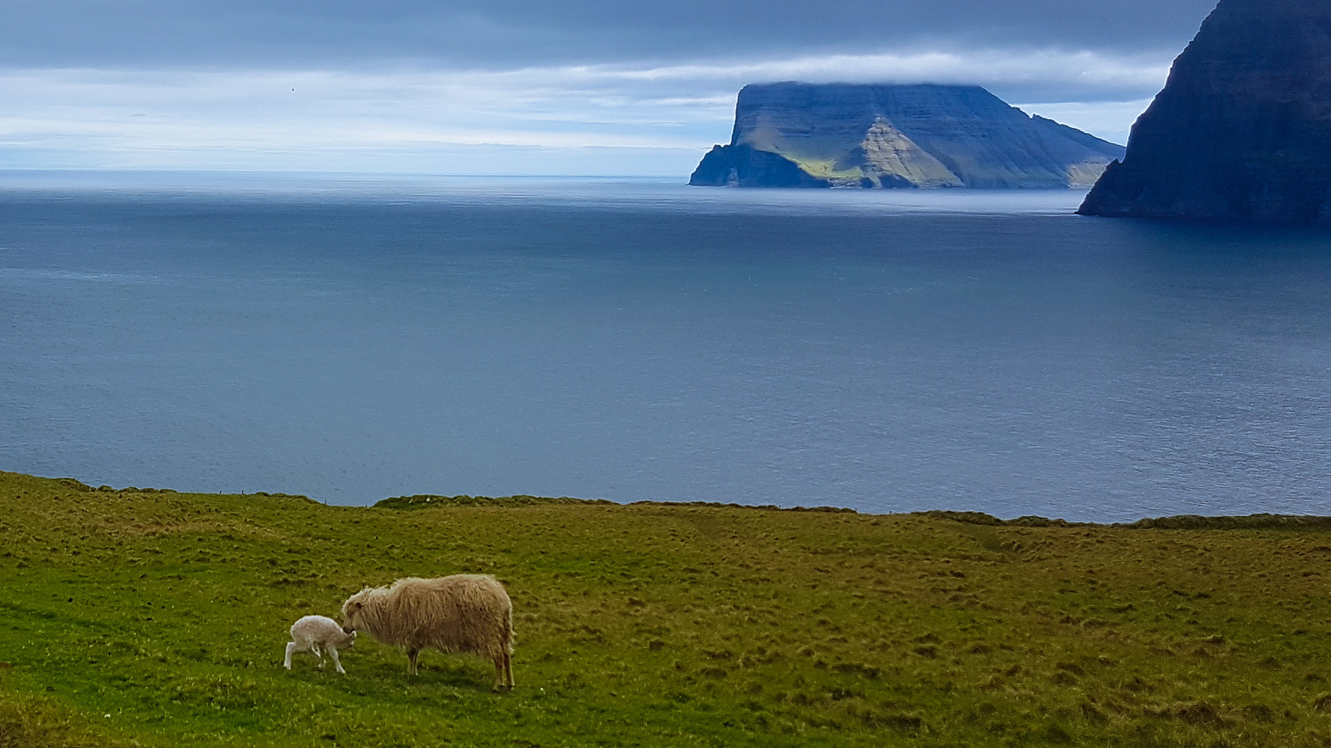 faroe islands photograph 41