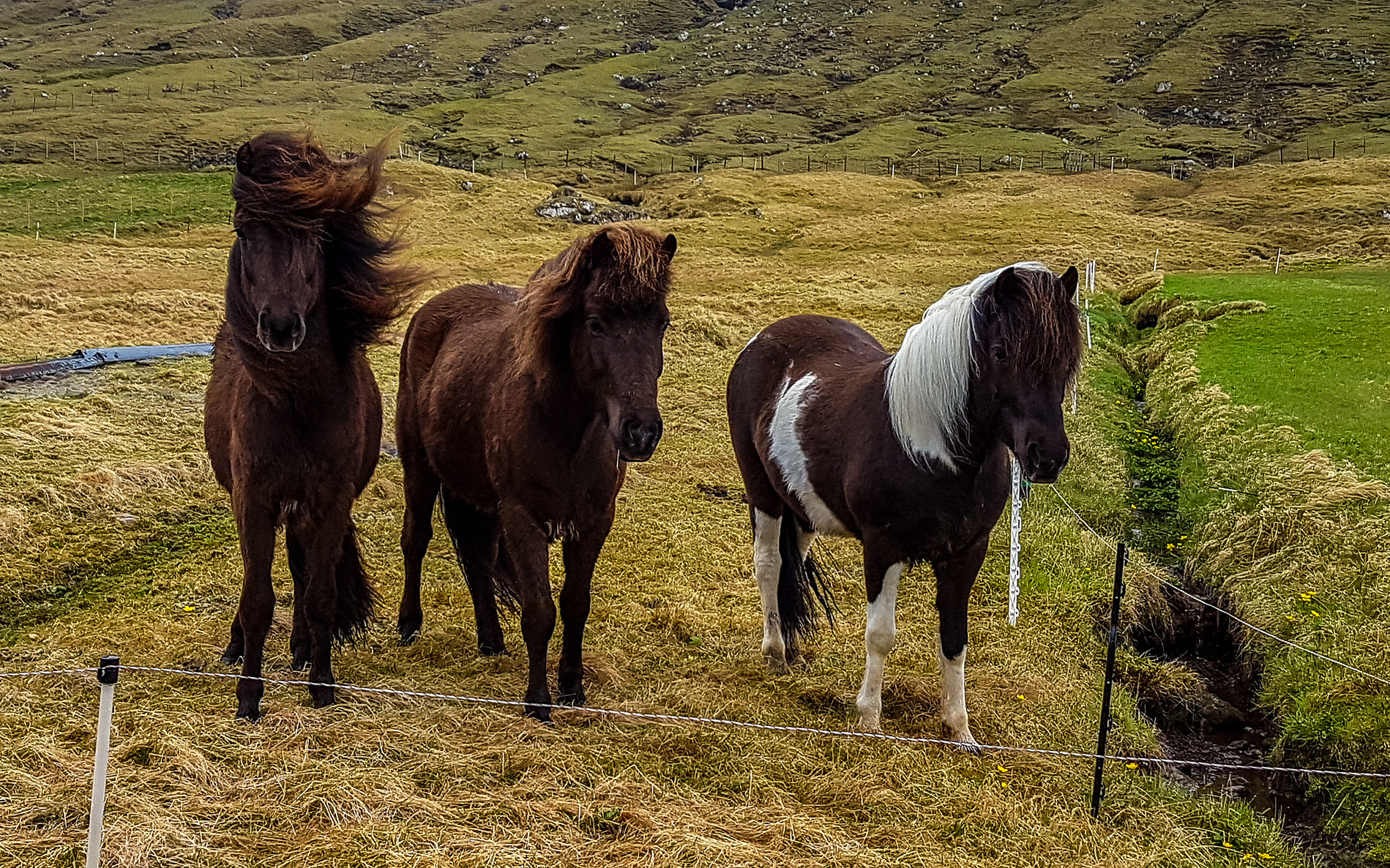 faroe islands photograph 44