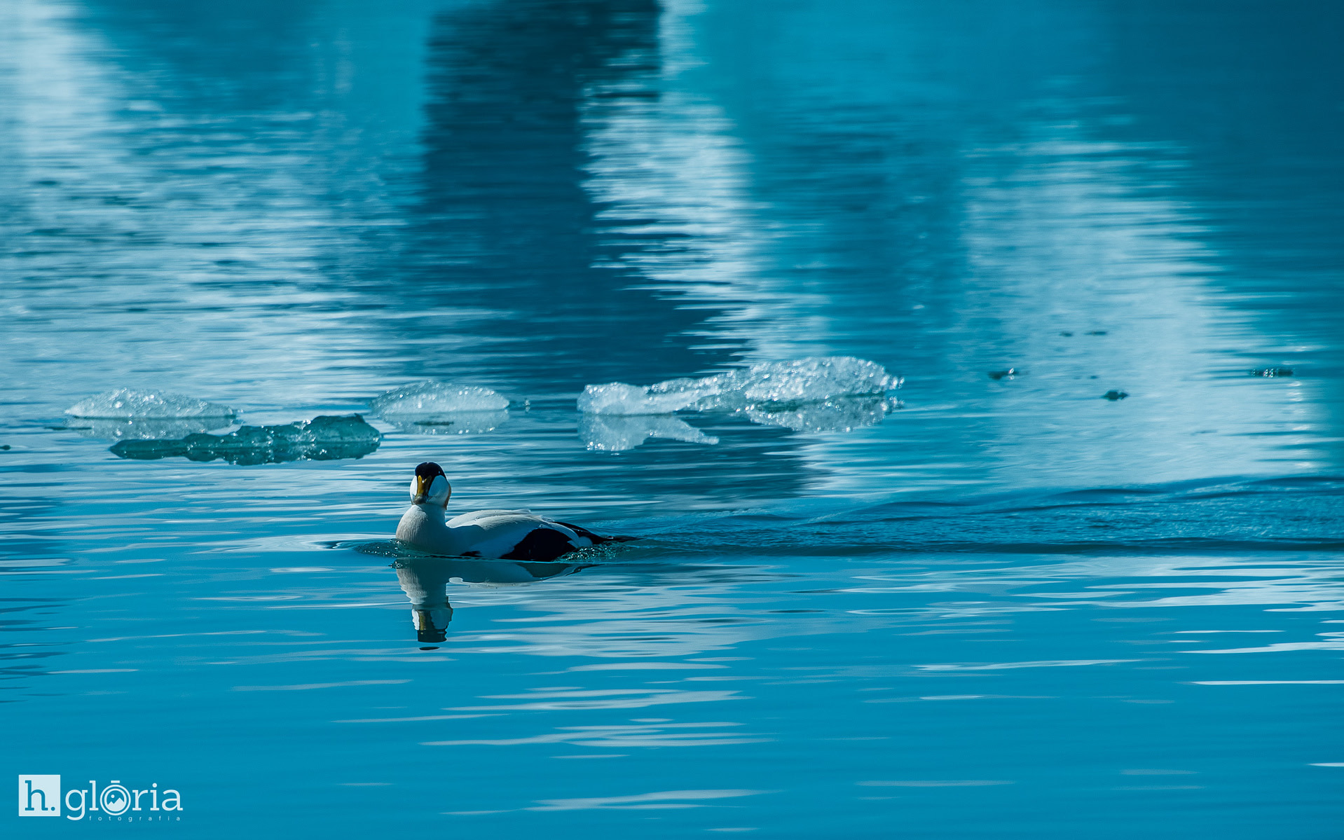 iceland may photograph 34