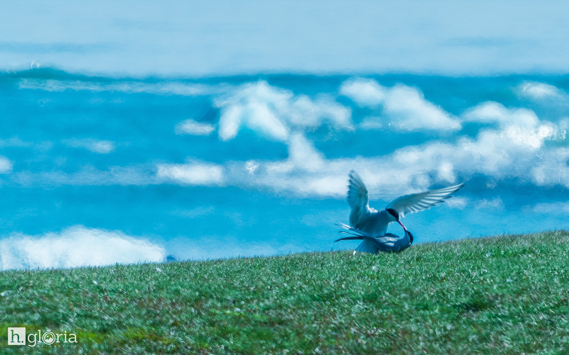 iceland may photograph 38