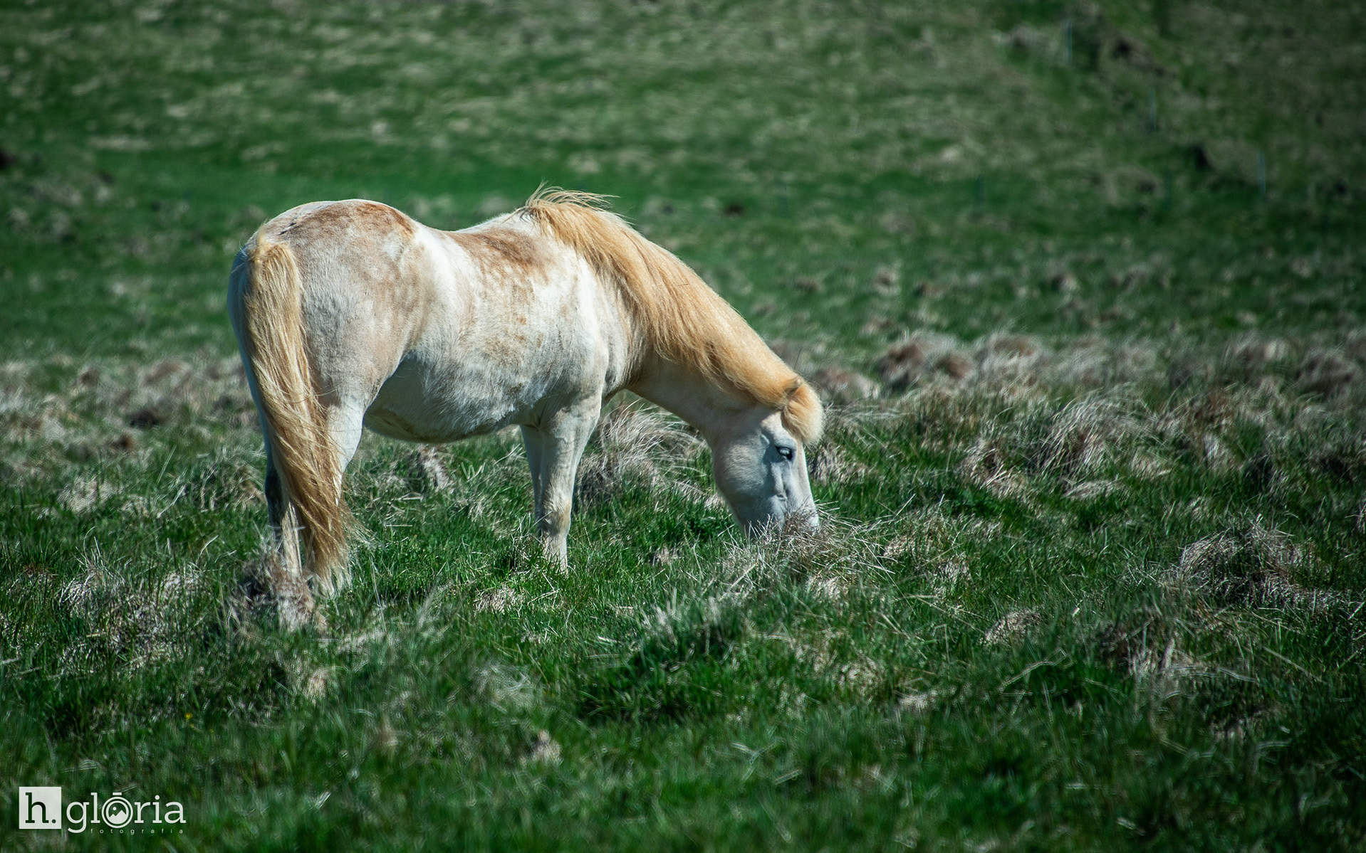 iceland may photograph 47