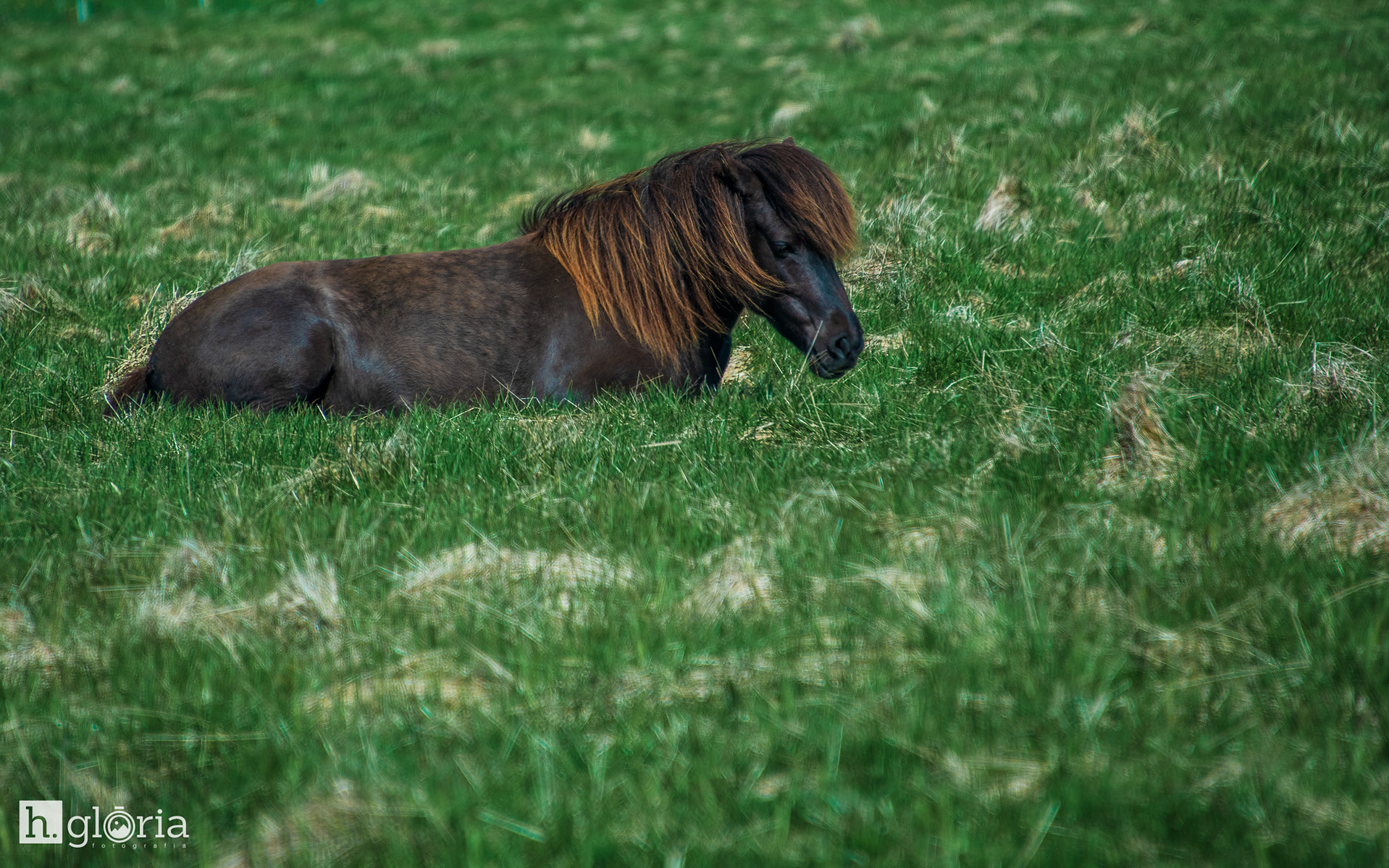 iceland may photograph 48