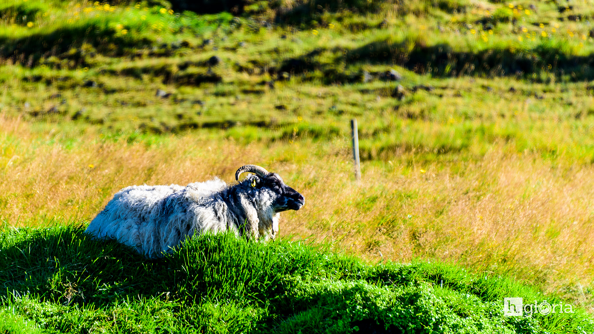 iceland september photograph 4